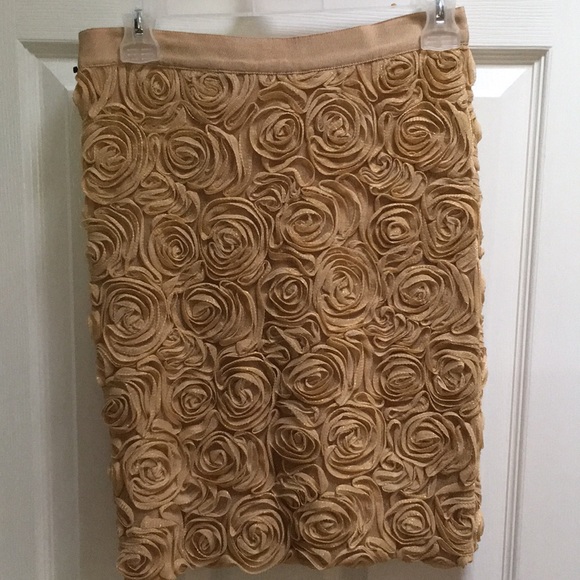 Banana republic shimmery gold skirt. Size 0 - Picture 3 of 3
